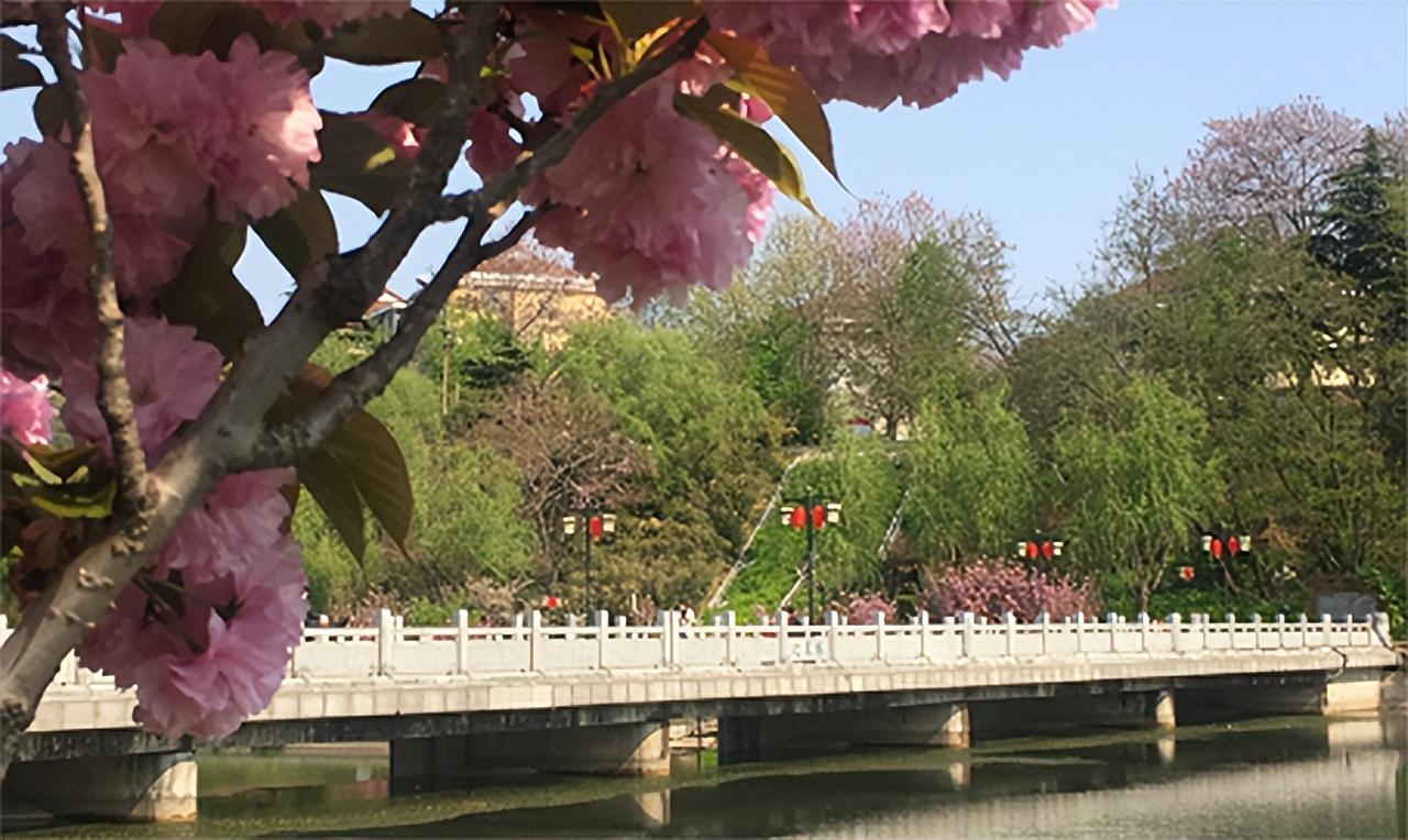 阎良镇,2000年19岁的沈星考入了位于山东潍坊青州市的二炮士官学校