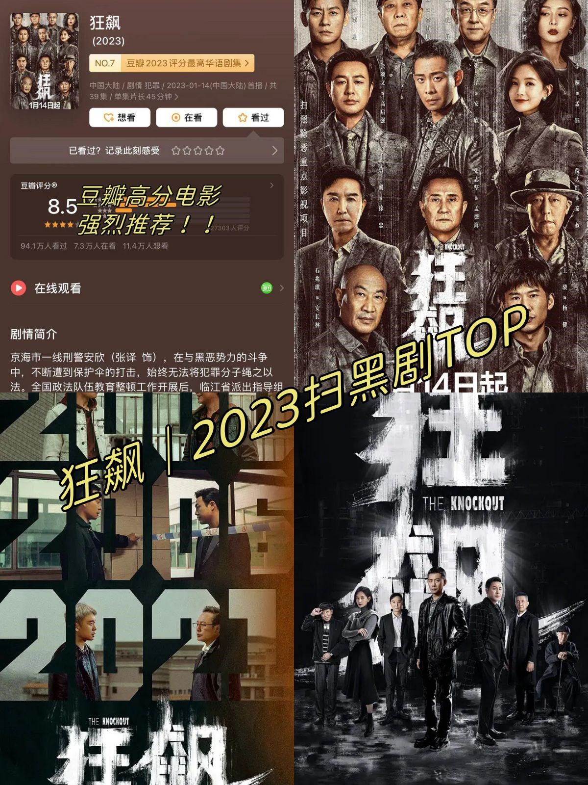 狂飙|2023扫黑剧top