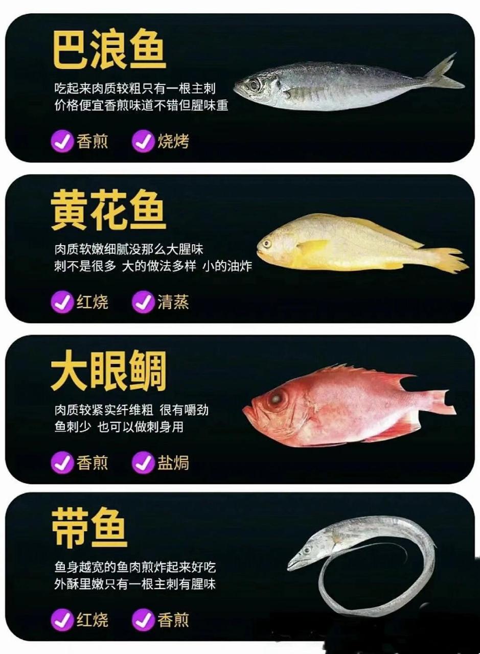 20种常见海鱼种类和名称