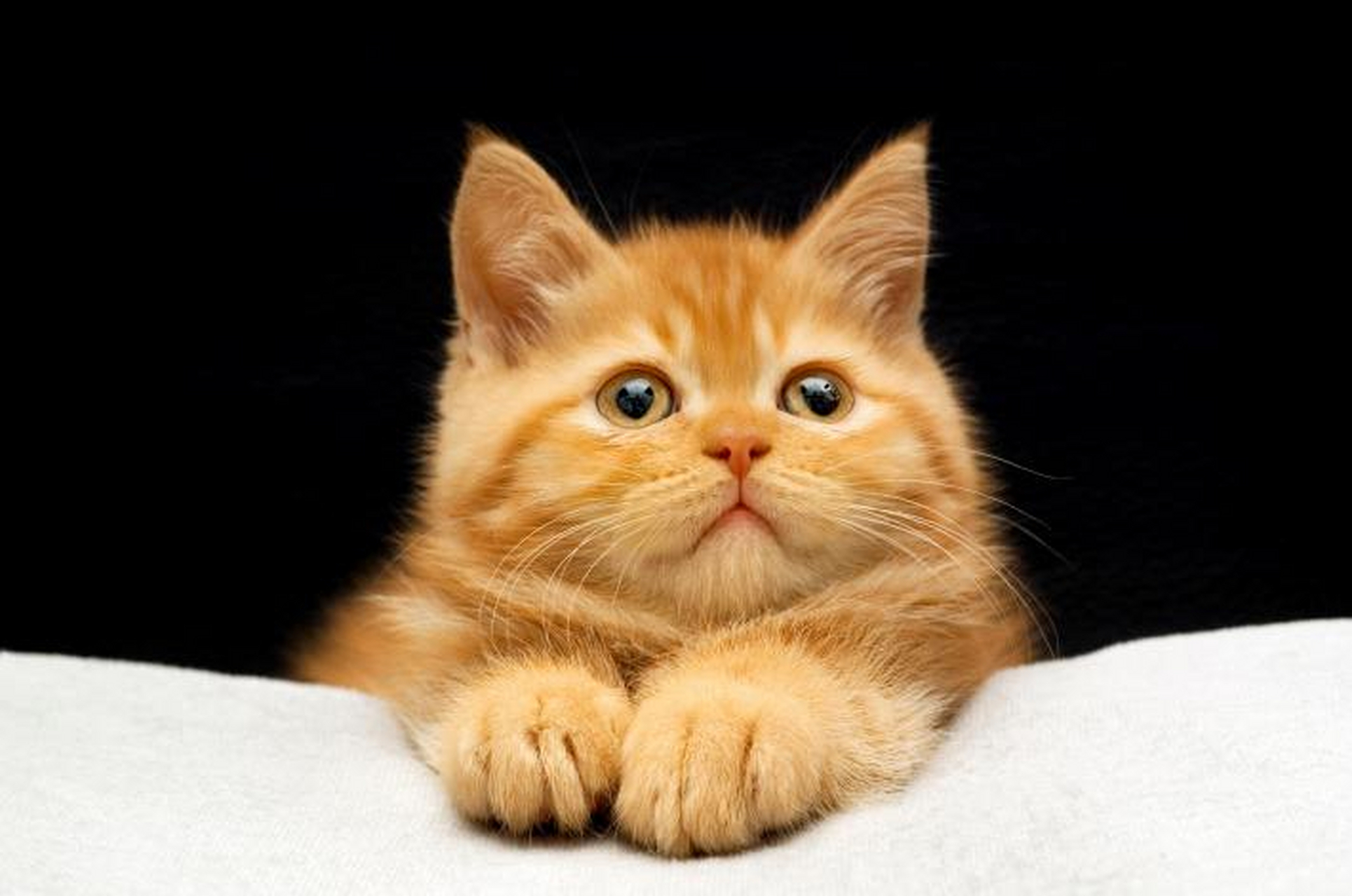 欧脱克脱敏药物可防治结合,调整免疫系统,减少过敏源