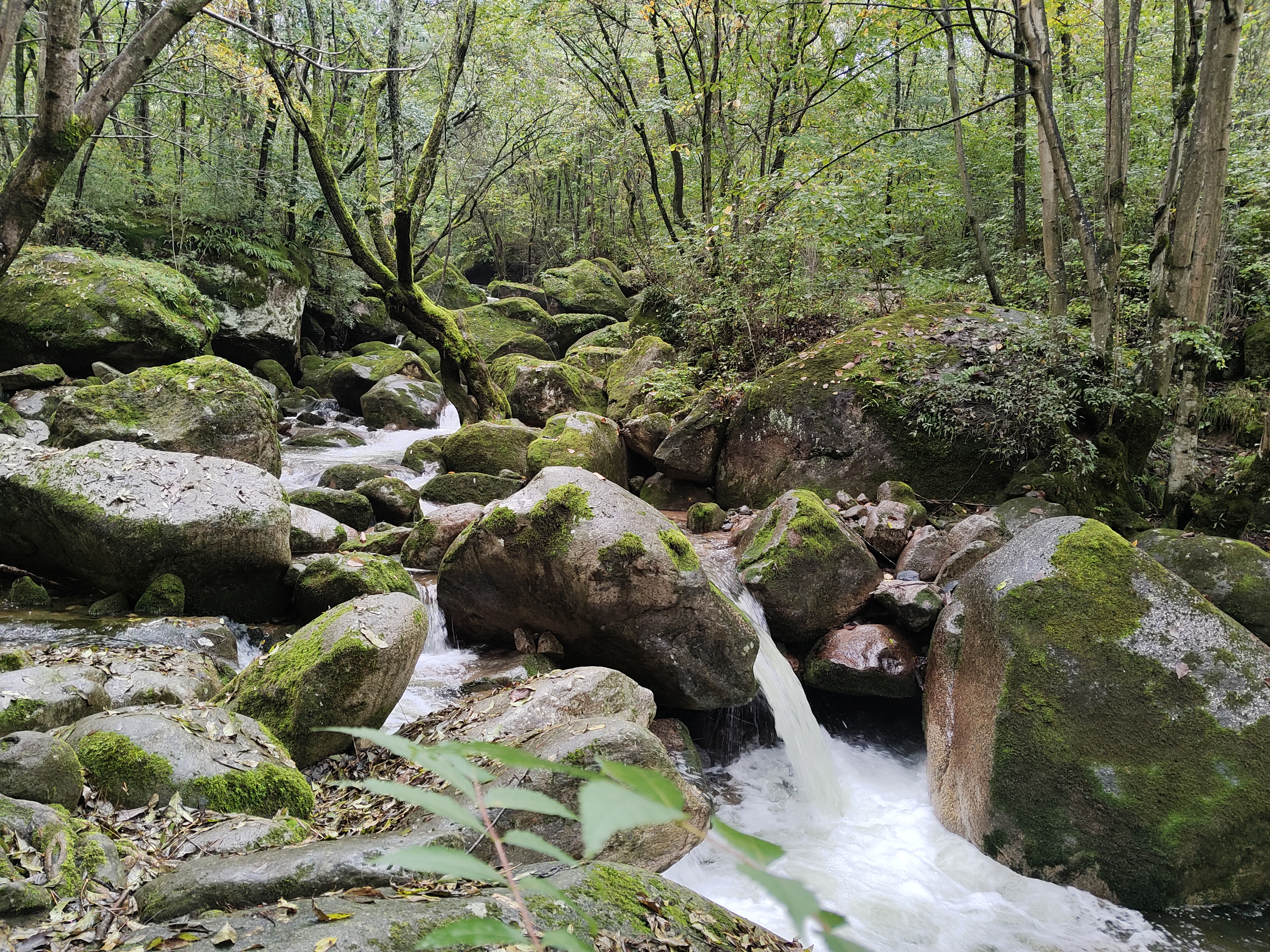 行游天水东岔桃花沟景区,宝鸡通天河国家森林公园