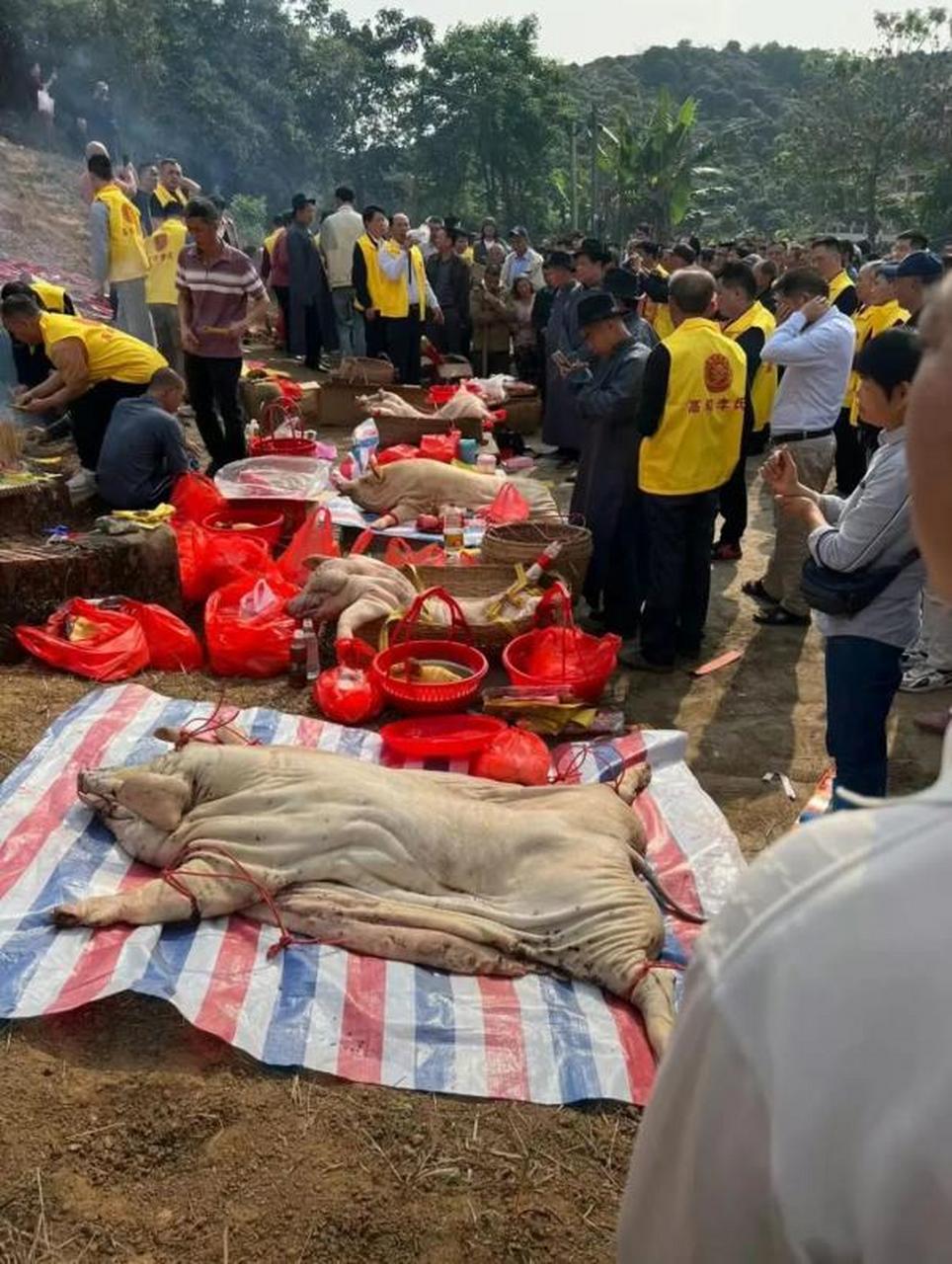 华南地区广东,广西和海南三省清明节前后迎来祭祖拜山季.