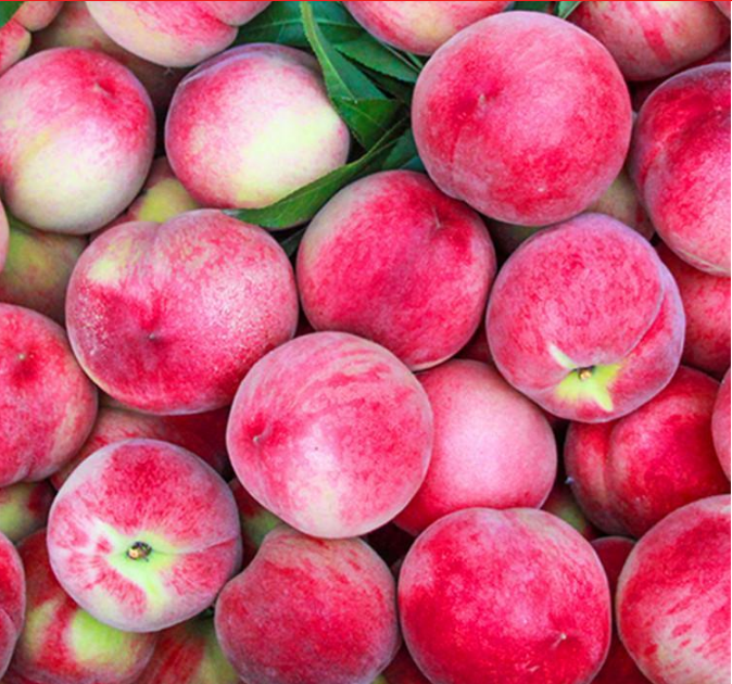 桃子到底是凉性还是热性?