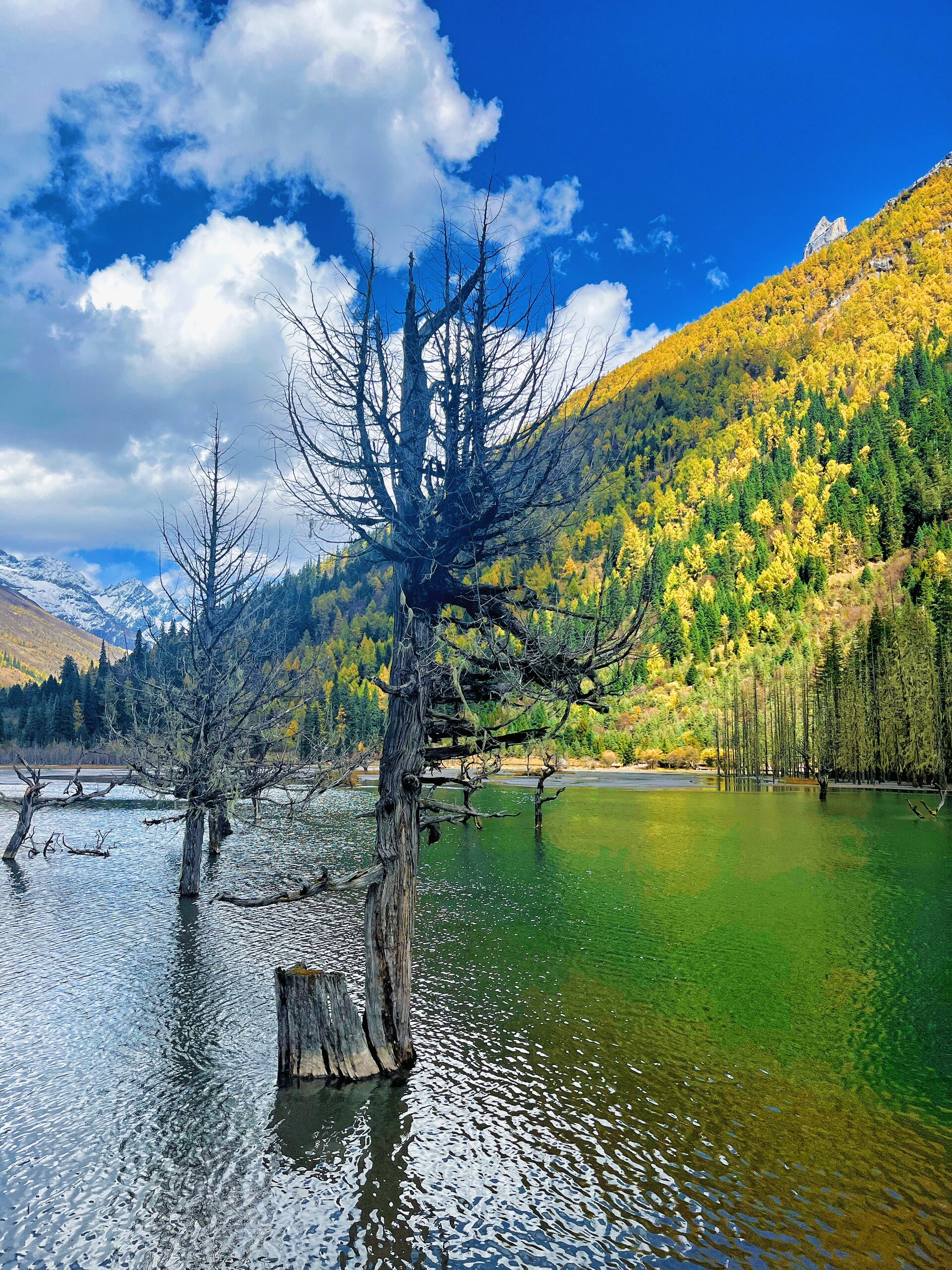 本地人爆料四川旅游必去景点——四姑娘山