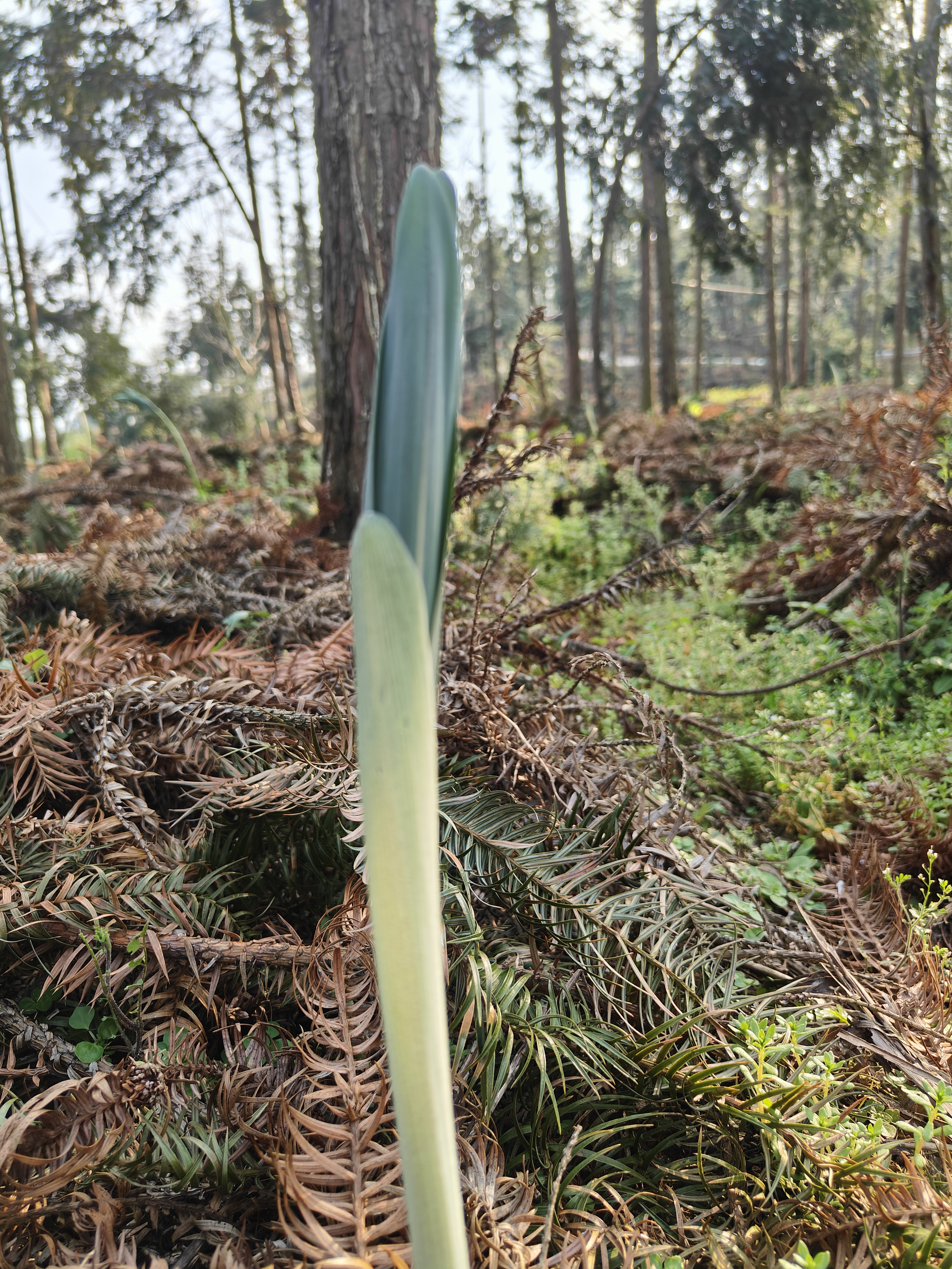 至臻至善的美食