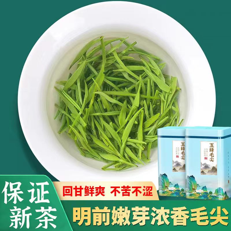 五峰毛尖特级2024新茶明前嫩芽浓香型,引领健康生活新境界!