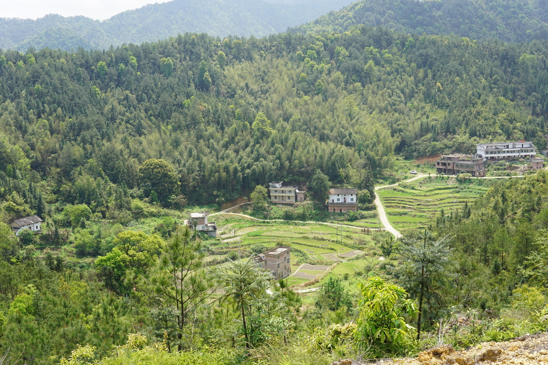 记得那是二十多年前的清明