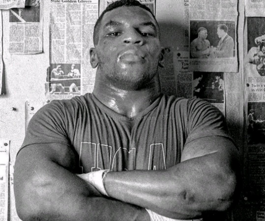 的拳击手,凭借着自己的天赋和努力,已经在职业赛场上取得了惊人的成绩