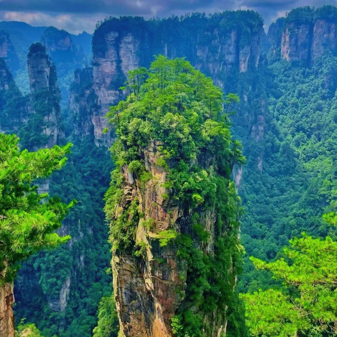 为什么张家界被誉为"尽孝圣地"呢?