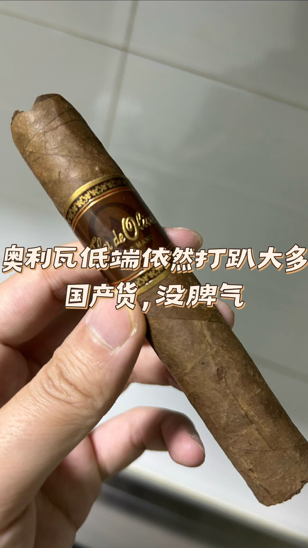 非古奥利瓦奥利瓦之花自然罗布图从价格角度他的确还行