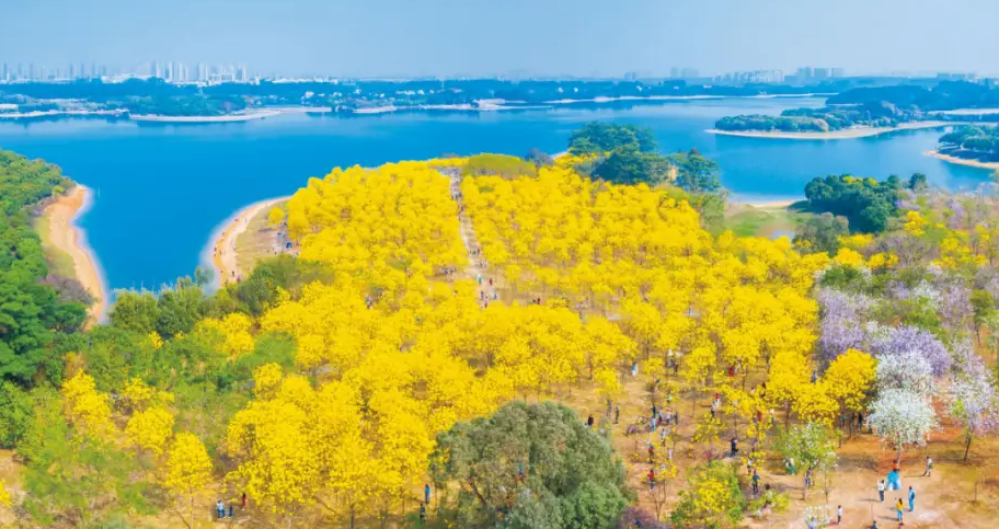 松山湖哪个景区最好玩图片