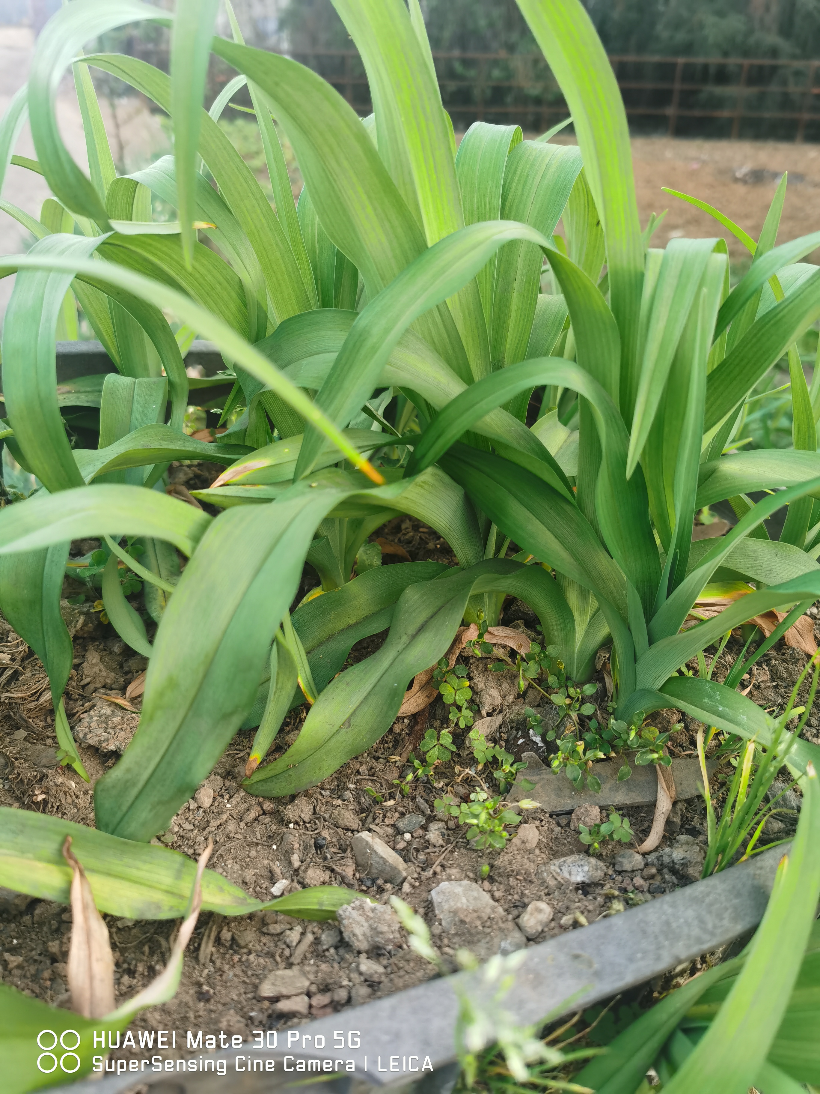 命运是掌握在自己手中,你的努力别人不一定认可