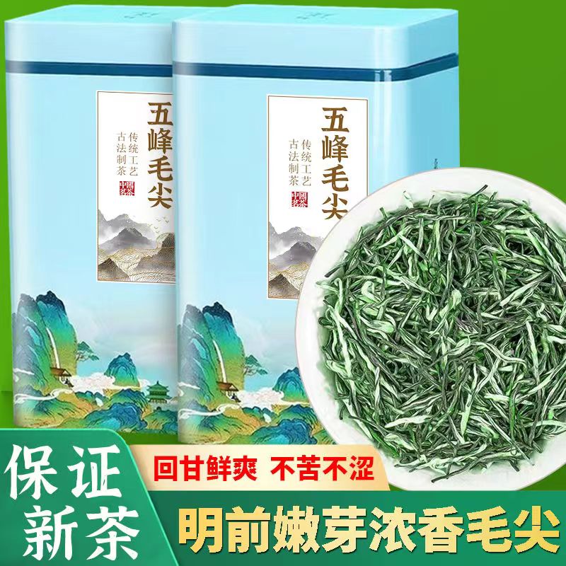 五峰毛尖特级2024新茶明前嫩芽浓香型,引领健康生活新境界!