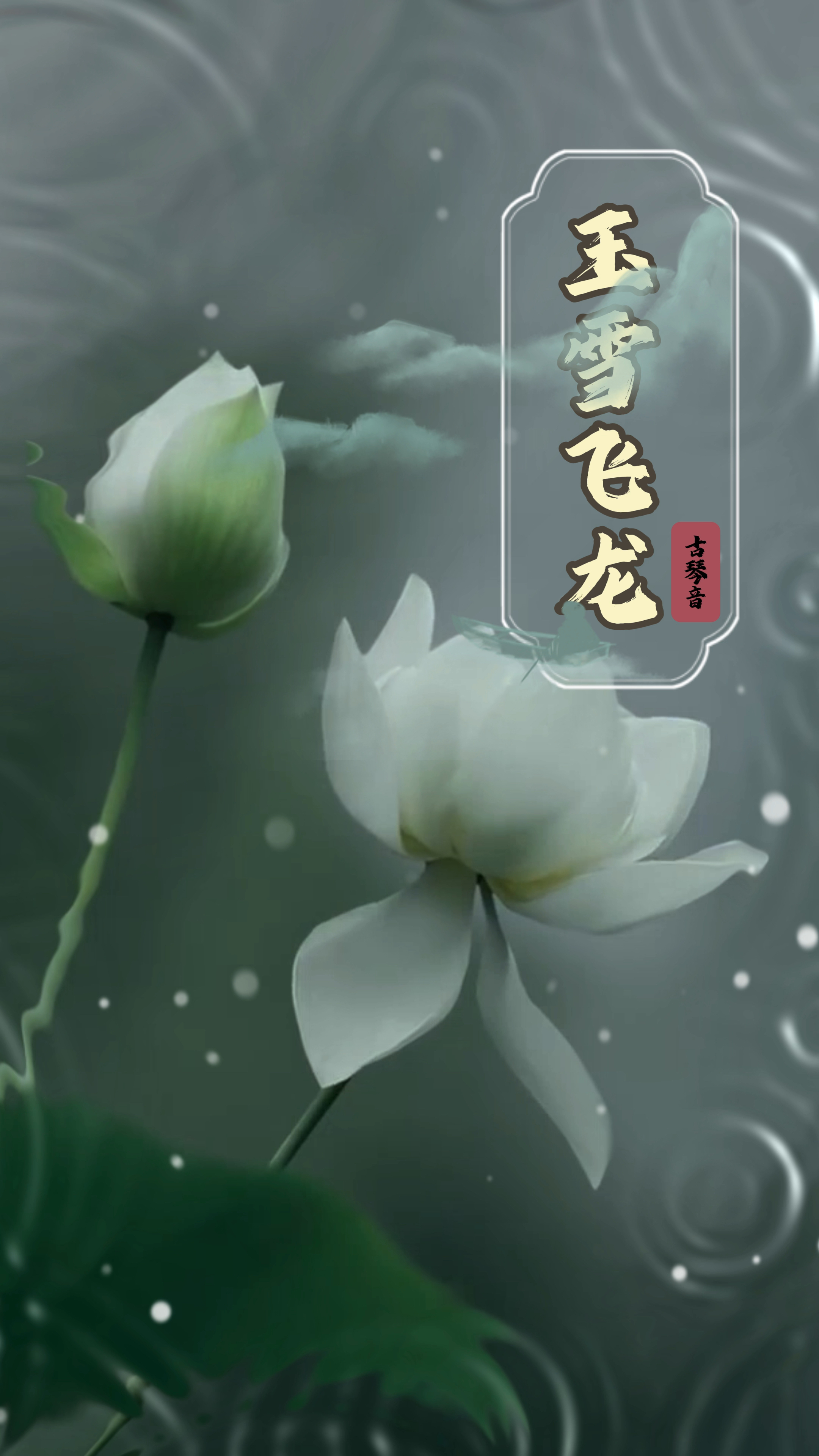 古琴养心乐《玉雪飞龙》以音为乐,乐疗于心-度小视