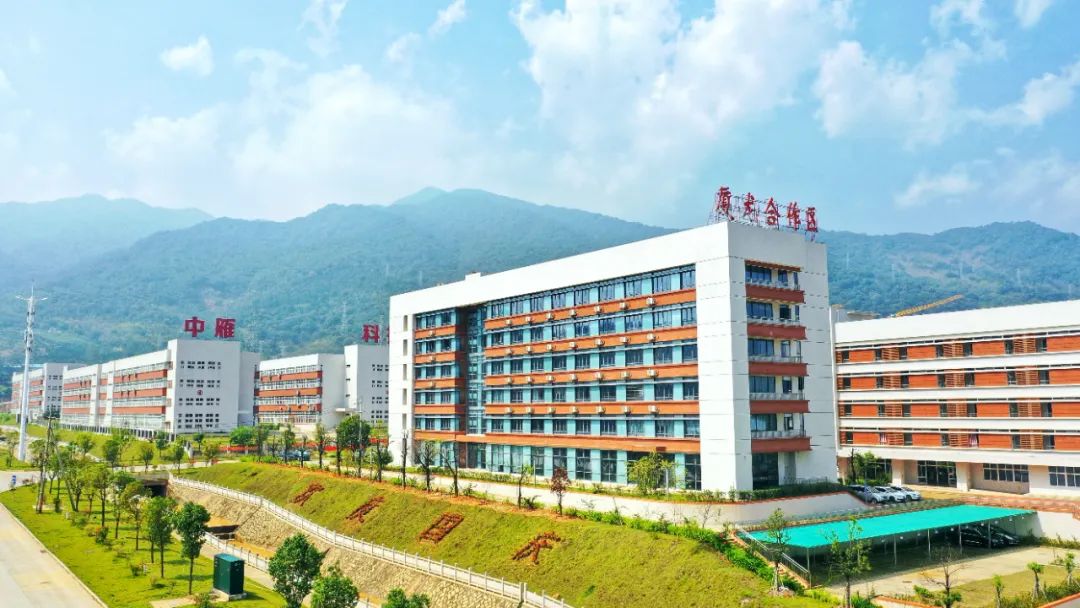 厦龙携手 山海同行