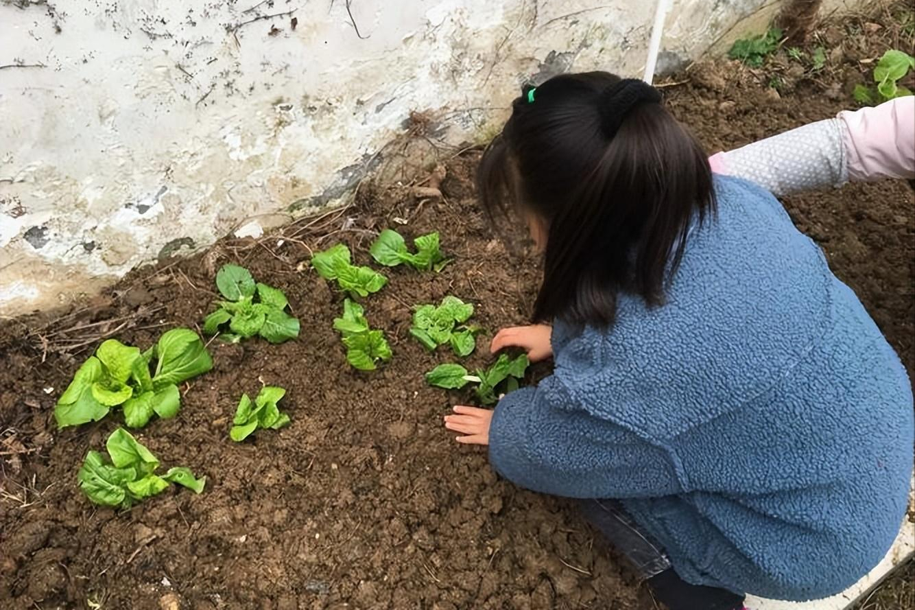 8个好友组团隐居不花钱尝试在深山养育下一代结果如何
