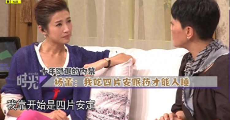 回顾离婚19年后再看杨蕾和戴志诚俩人境遇夫妻差距太明显