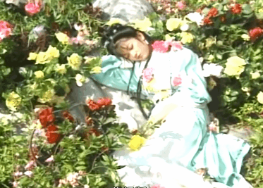 六版湘云醉卧有人醉卧美如画有人假寐还有人像产后护理