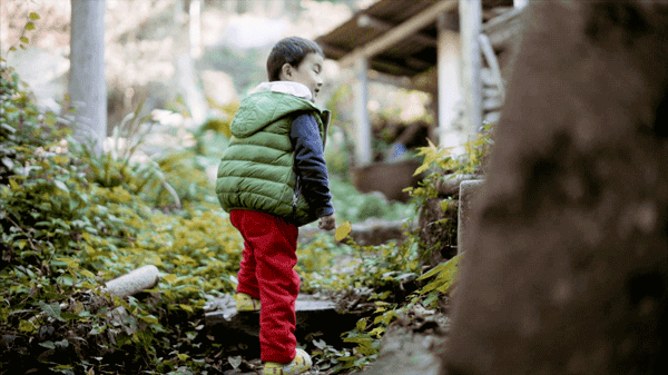 8个好友组团隐居不花钱尝试在深山养育下一代结果如何