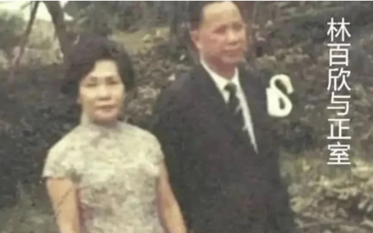 回顾林百欣宫斗情史19岁靠13块钱翻身成富豪4任太太个个不简单