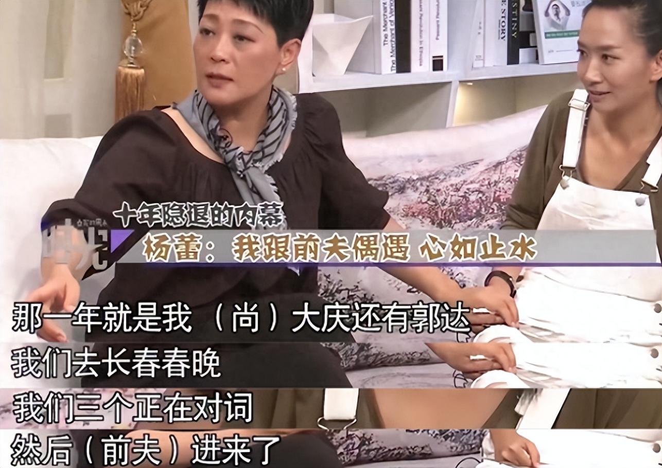 回顾:离婚19年后,再看杨蕾和戴志诚俩人境遇,夫妻差距太明显