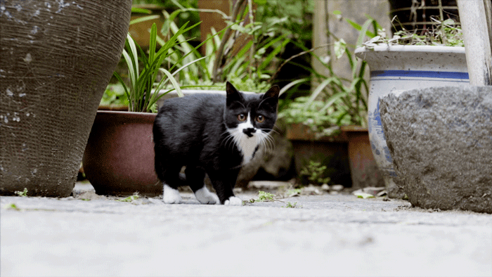 8个好友组团隐居不花钱尝试在深山养育下一代结果如何