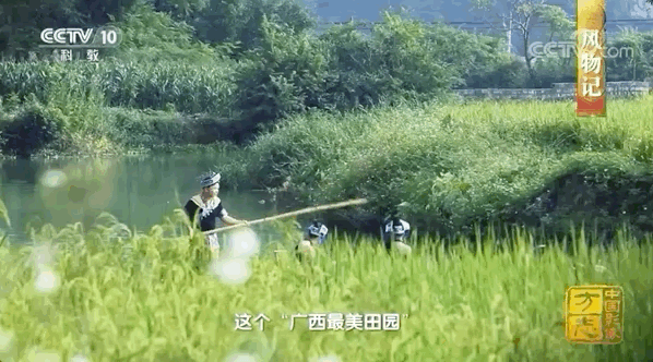 比阳朔舒服风景堪比桂林这座中越边境五线小城在开挂