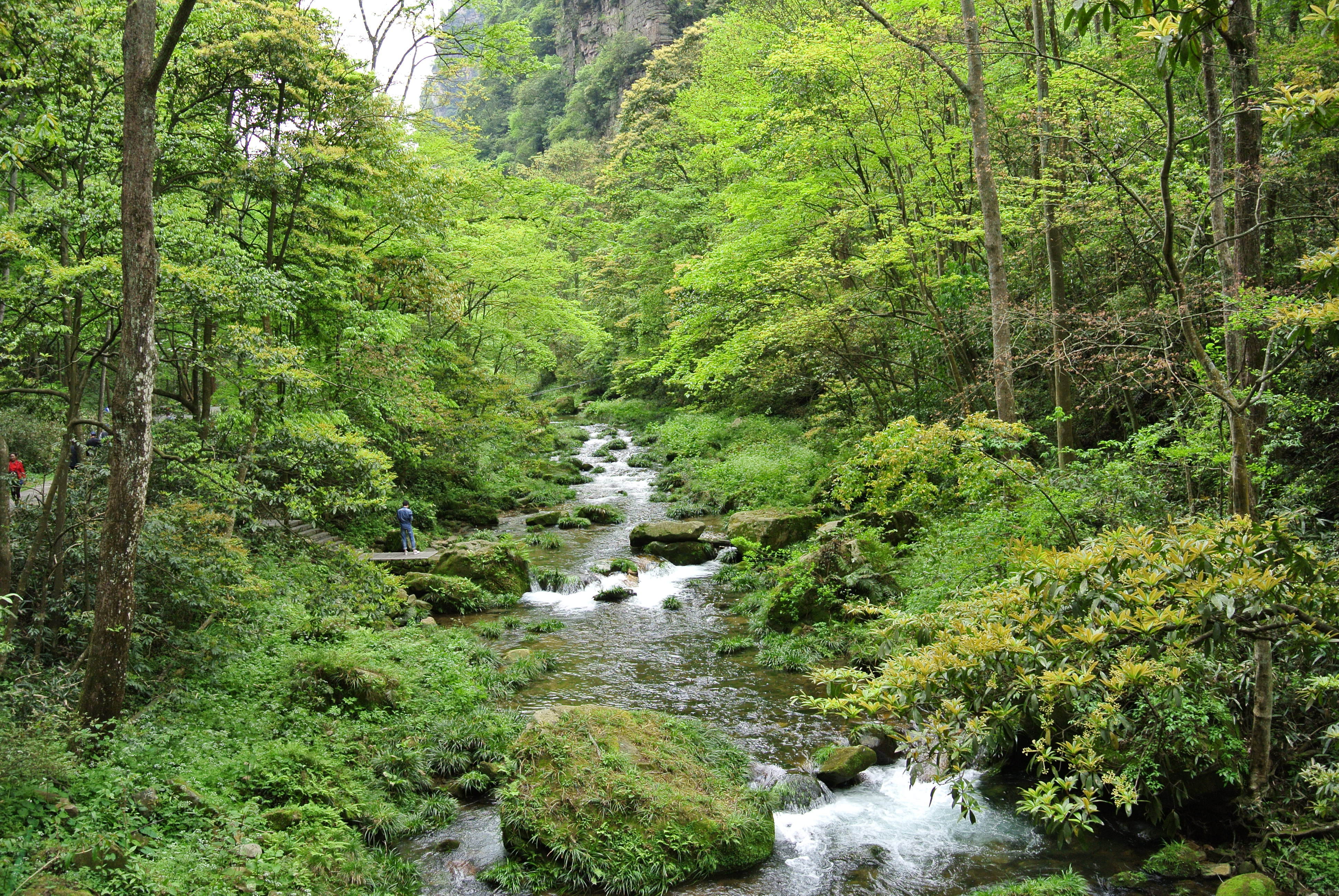 张家界旅游五天左右必去景区推荐大全,张家界自由行线路行程攻略