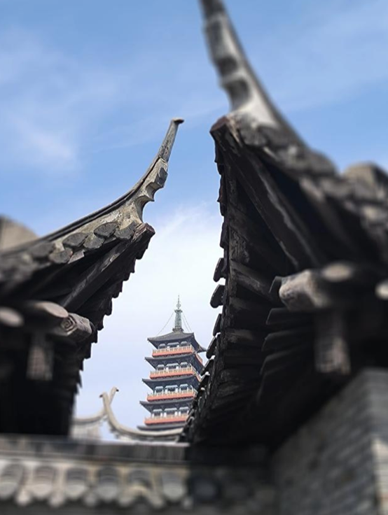 回顾烟花三月下扬州刚从扬州回来我的心中却留下了复杂的情感