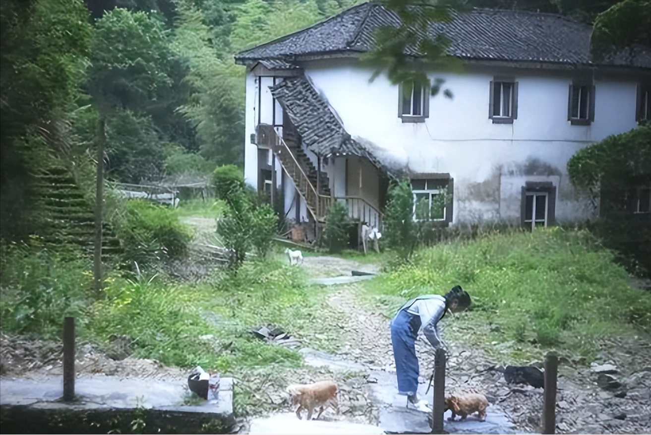 8个好友组团隐居不花钱尝试在深山养育下一代结果如何