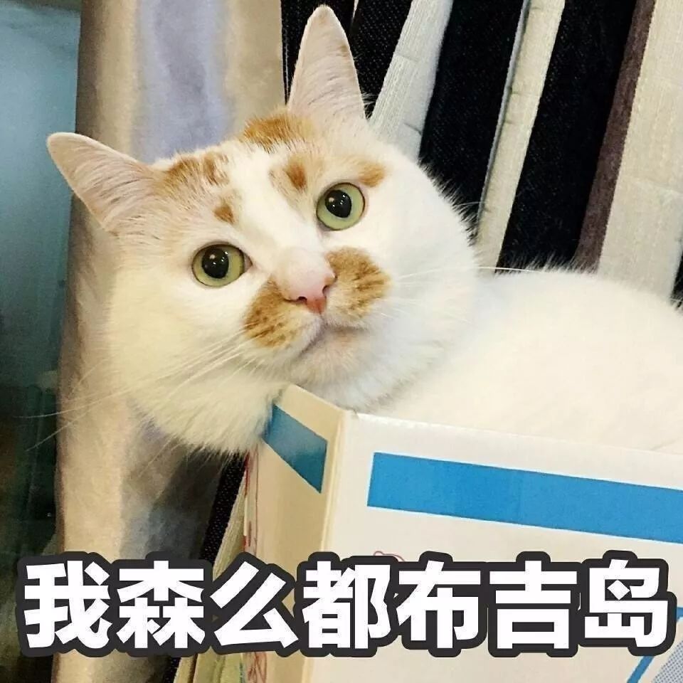 哭诉:养猫10个月,我出现了这几种"病",太可怕了!