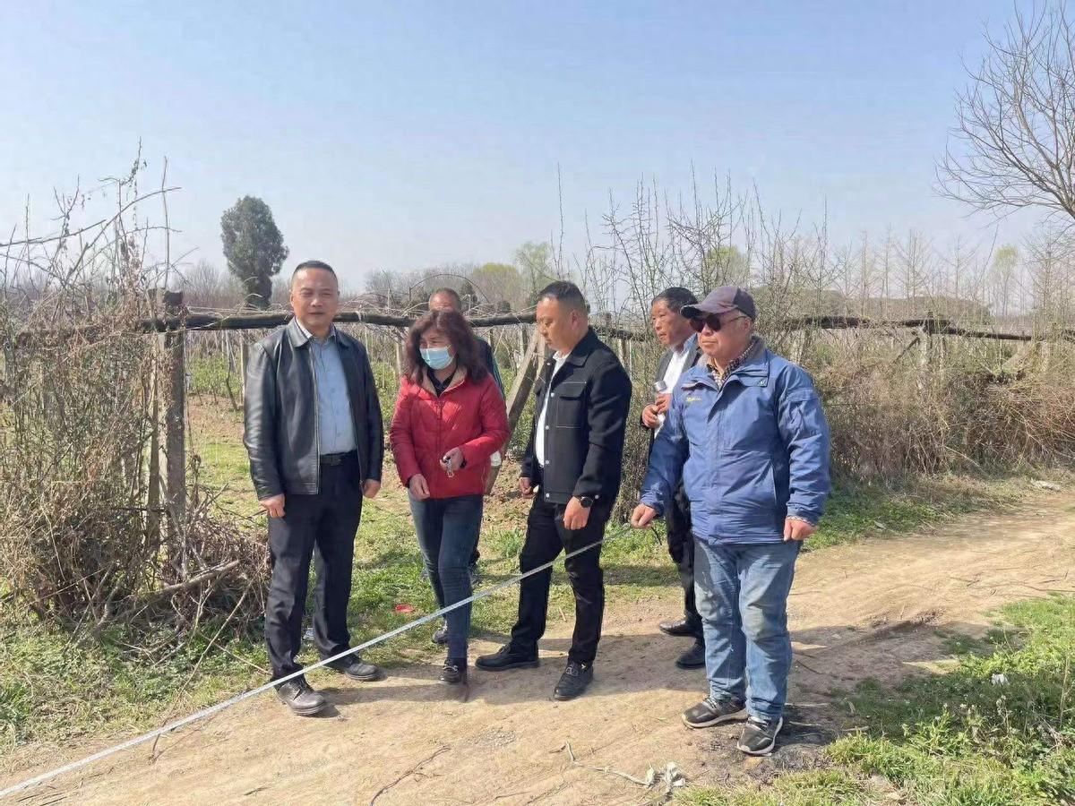 破难题 抓实干——周至县哑柏镇杨哑路征迁工作加速推进
