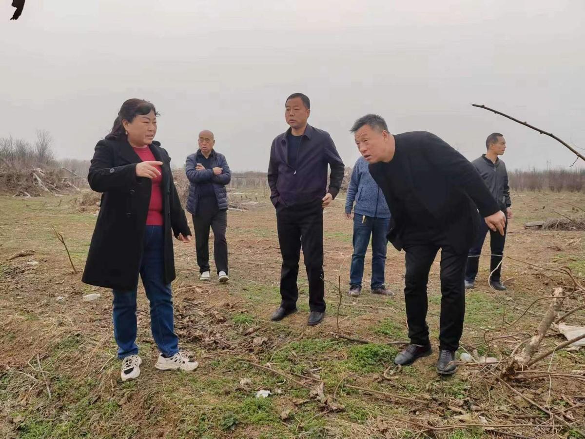 破难题 抓实干——周至县哑柏镇杨哑路征迁工作加速推进