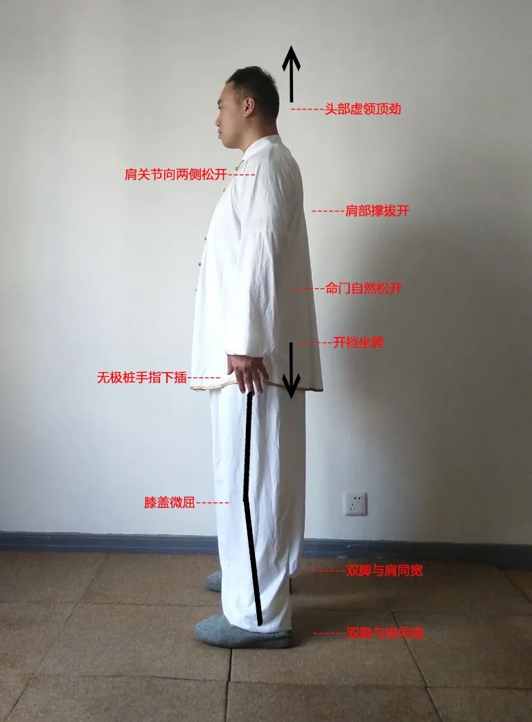 2张标准站桩正确姿势示范图(收藏)