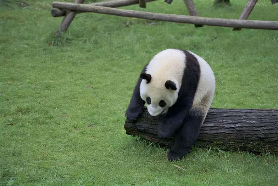 "图片来源于网络可是,对于云南省昭通市水富县太平镇派出所的值班民警