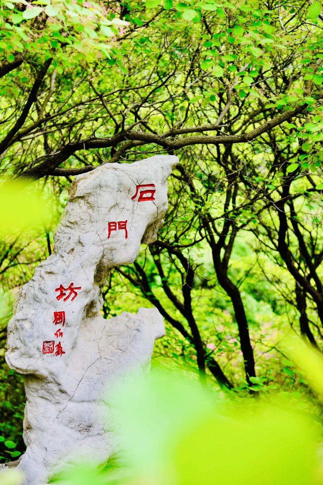 这些景区免费一个月@全国学生快来领取春日福利