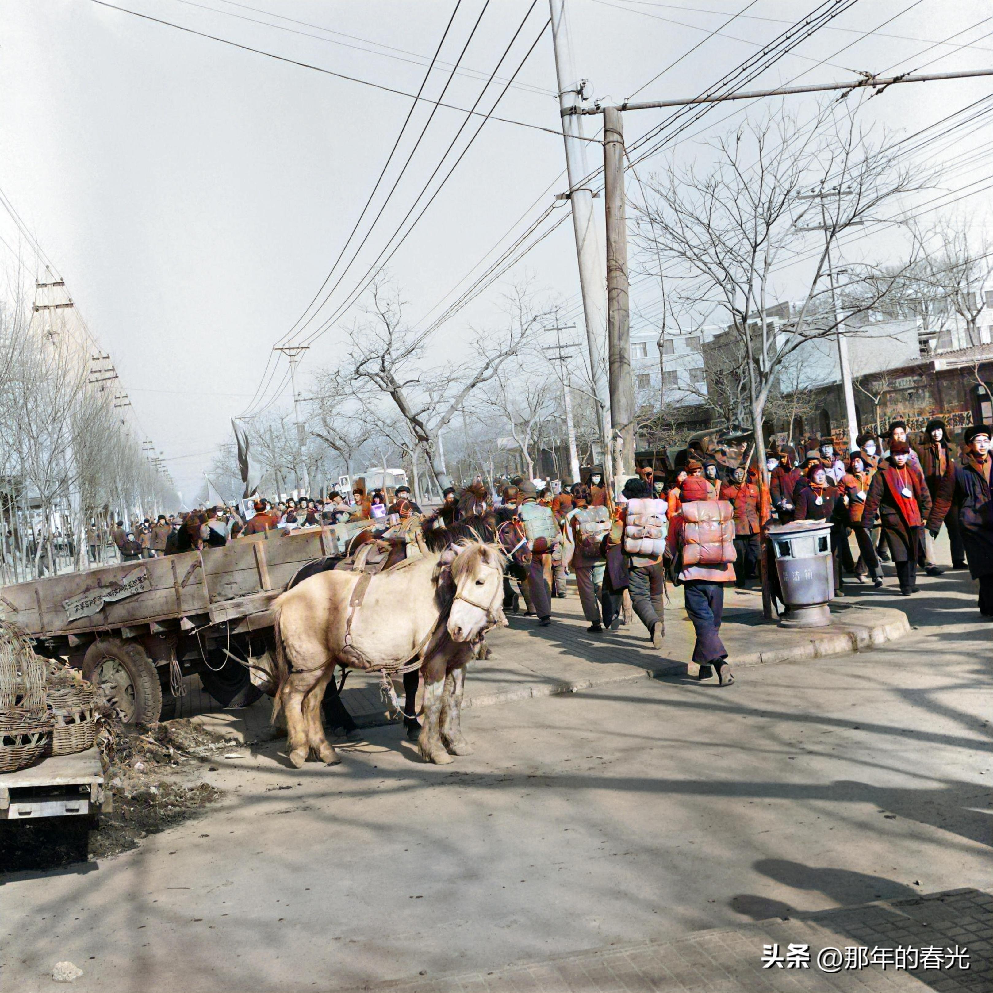 上世纪60年代老照片真实的记录下了平民百姓们的日常生活场景