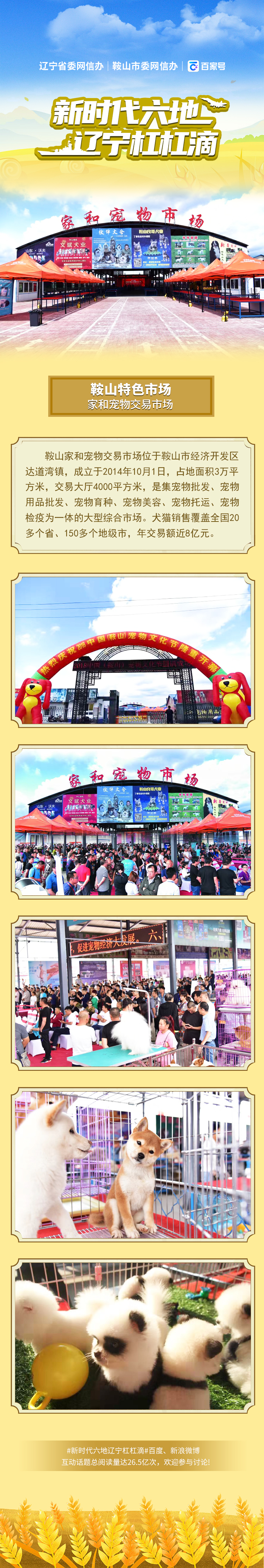 振兴新突破辽宁杠杠滴# 【美丽鞍山】鞍山特色市场丨家和宠物市场