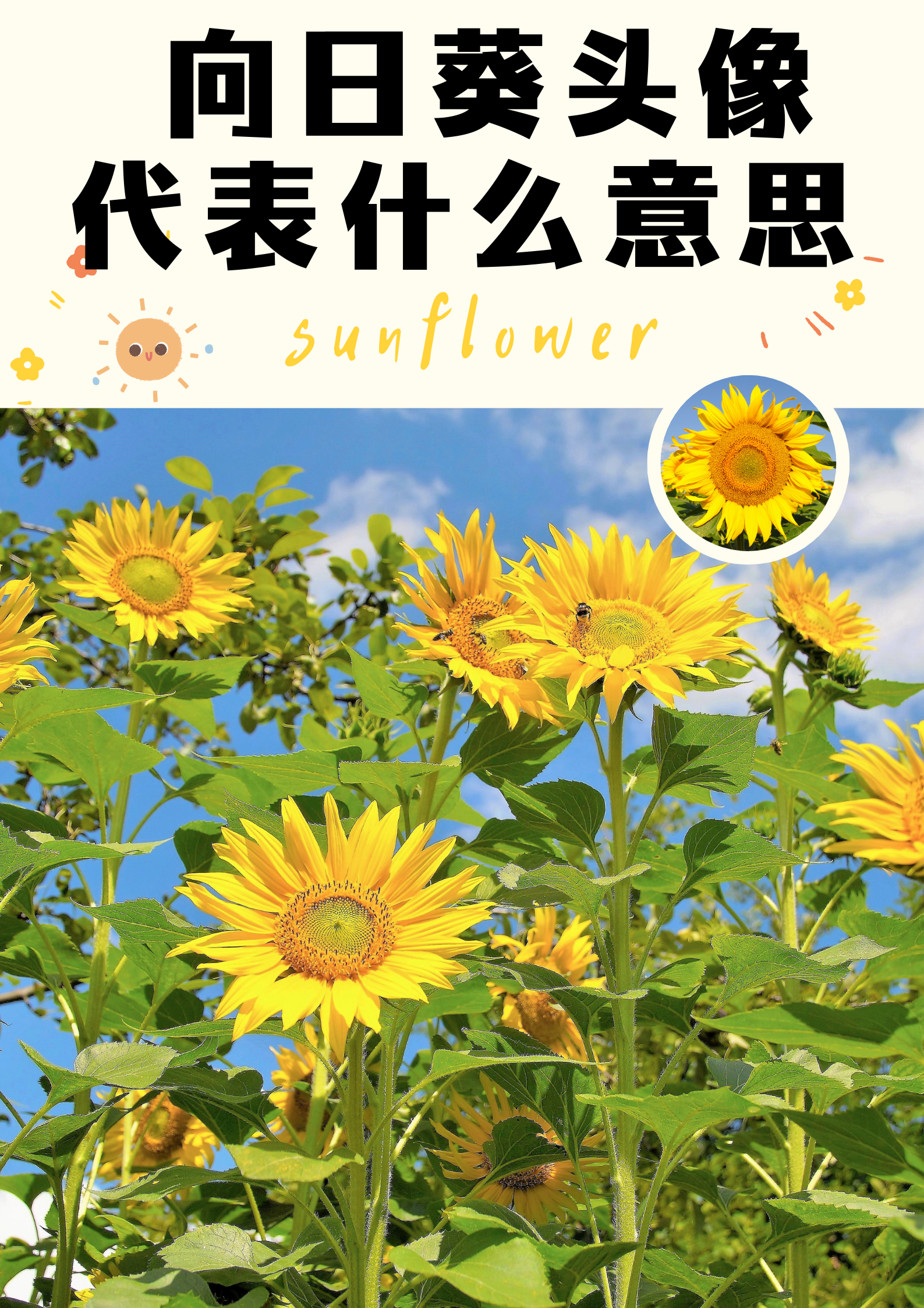 代表啥意思
