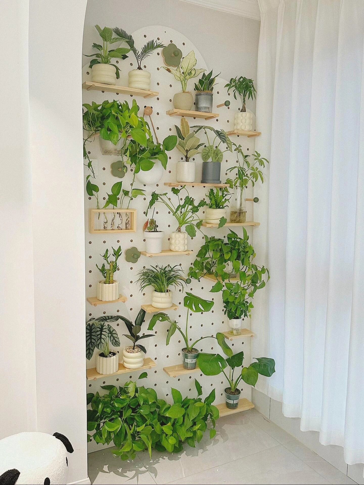 阳台改造新思路,洞洞板绿植墙,简直美翻了~