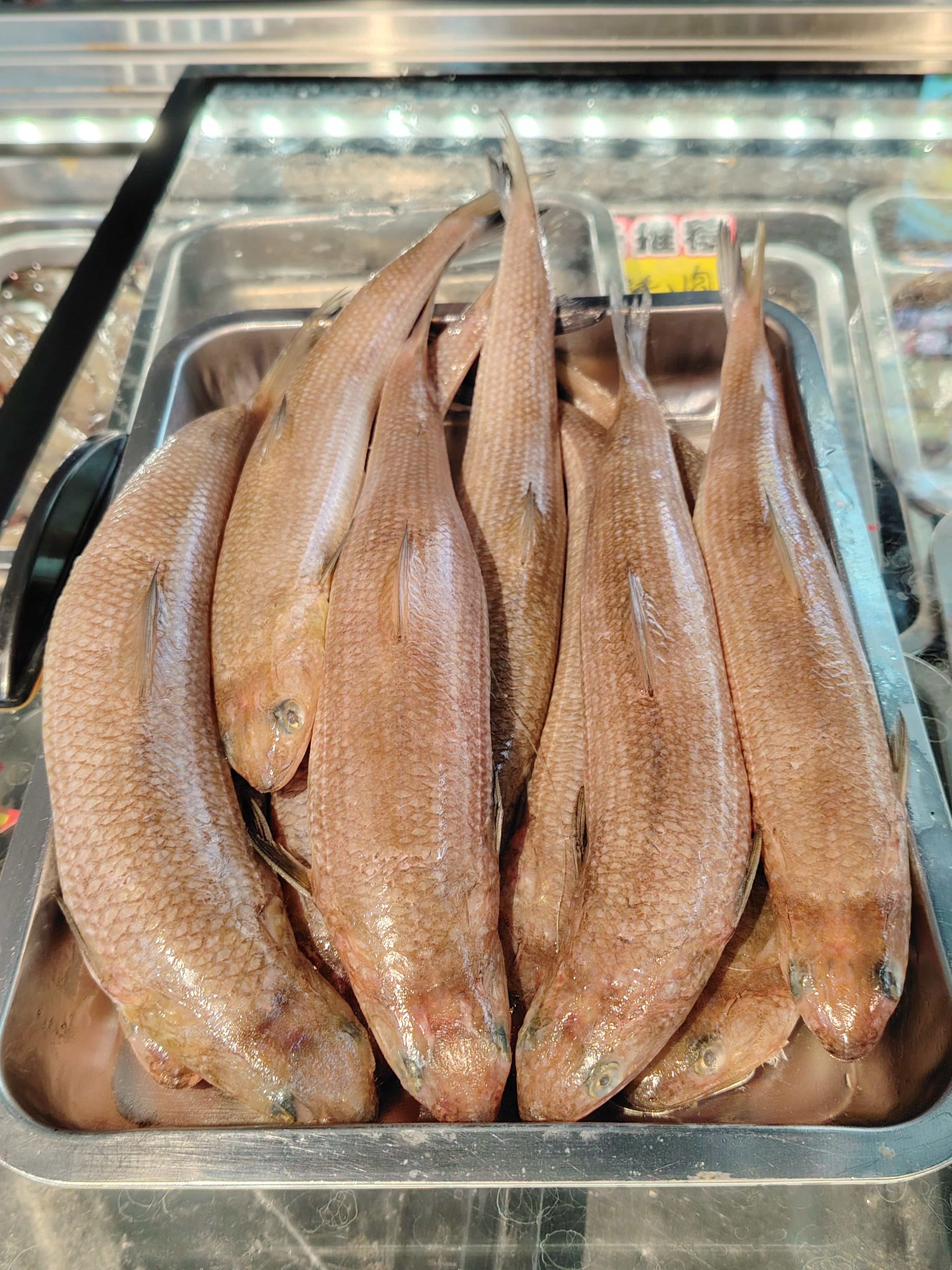 煎酿奎龙鱼饼是北海合浦的名菜我在合浦的路边大