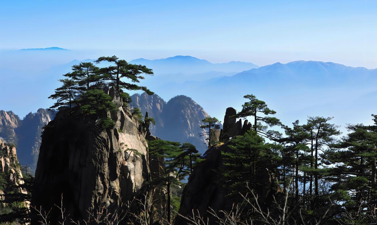 黄山之旅-迎客松