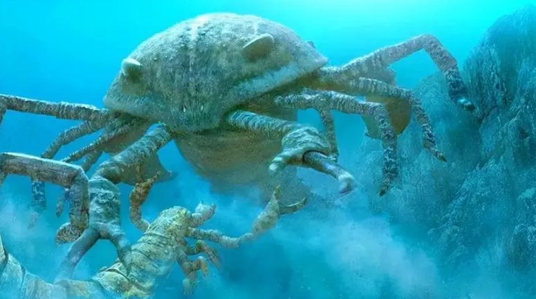 史前霸主海蝎子,到底是昆虫还是鱼?