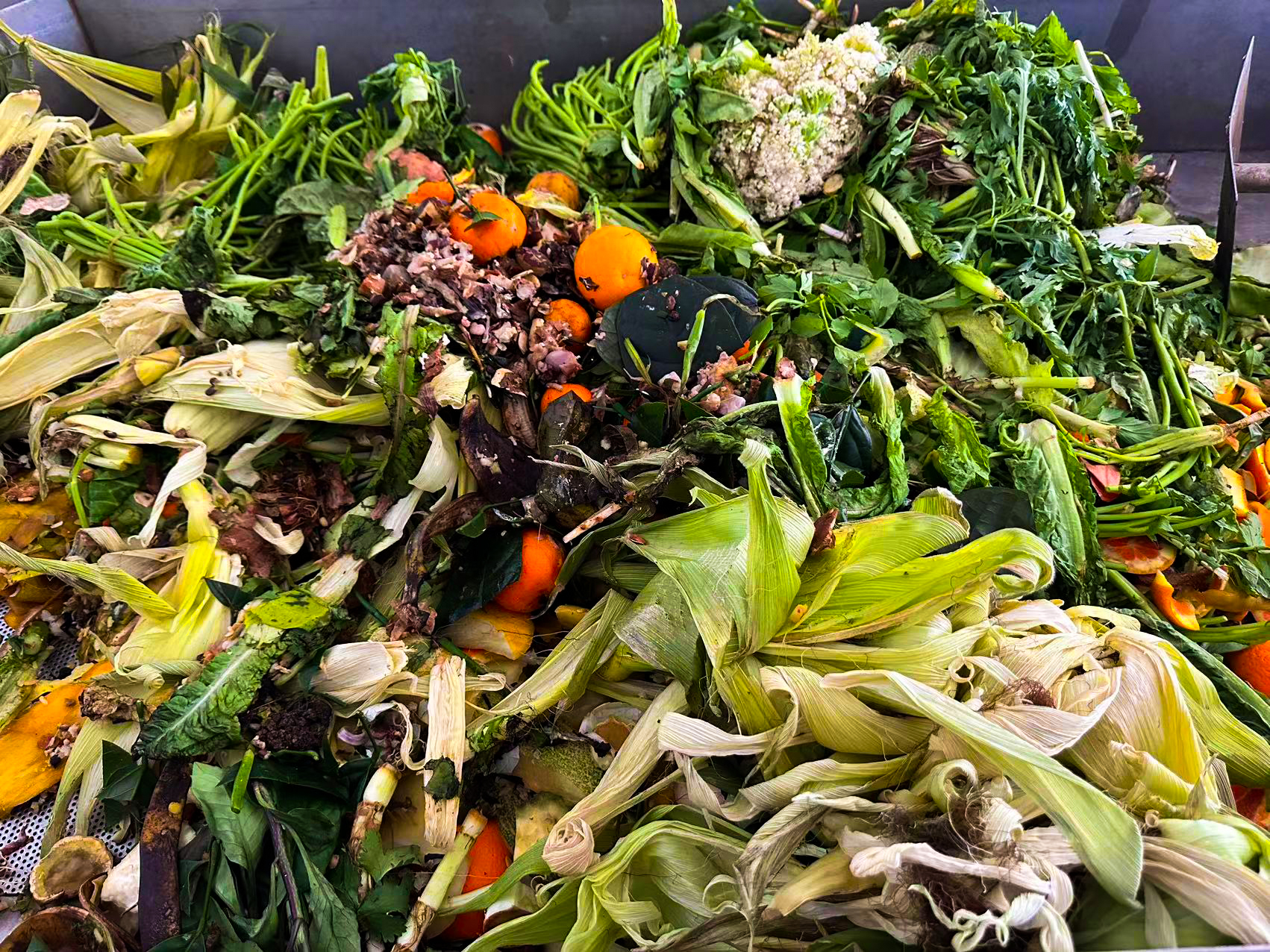 餐厨垃圾处理设备一般多少钱