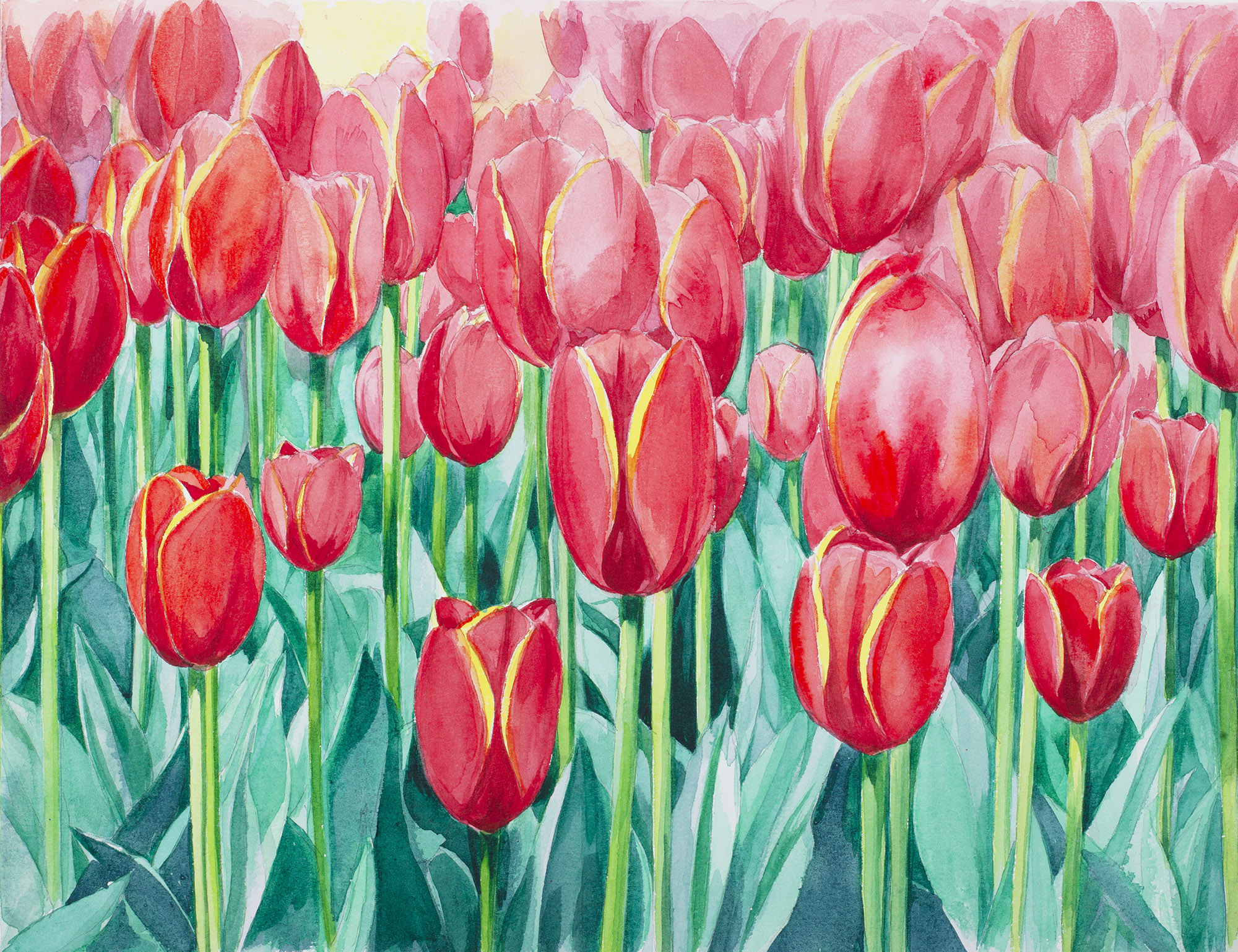 花卉是非常好的水彩入门作画题材,练习干湿结合技法简单易学