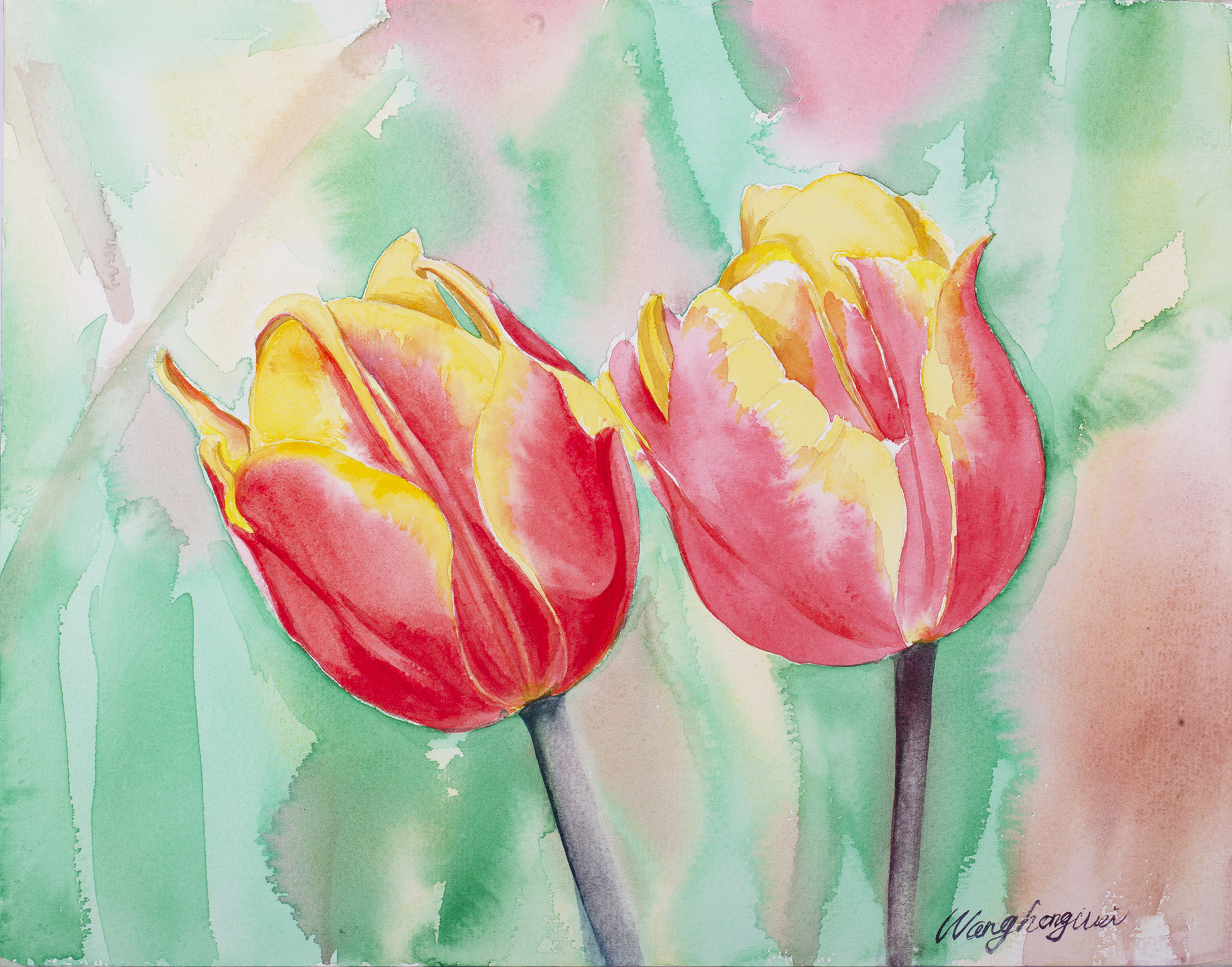 花卉是非常好的水彩入门作画题材,练习干湿结合技法简单易学