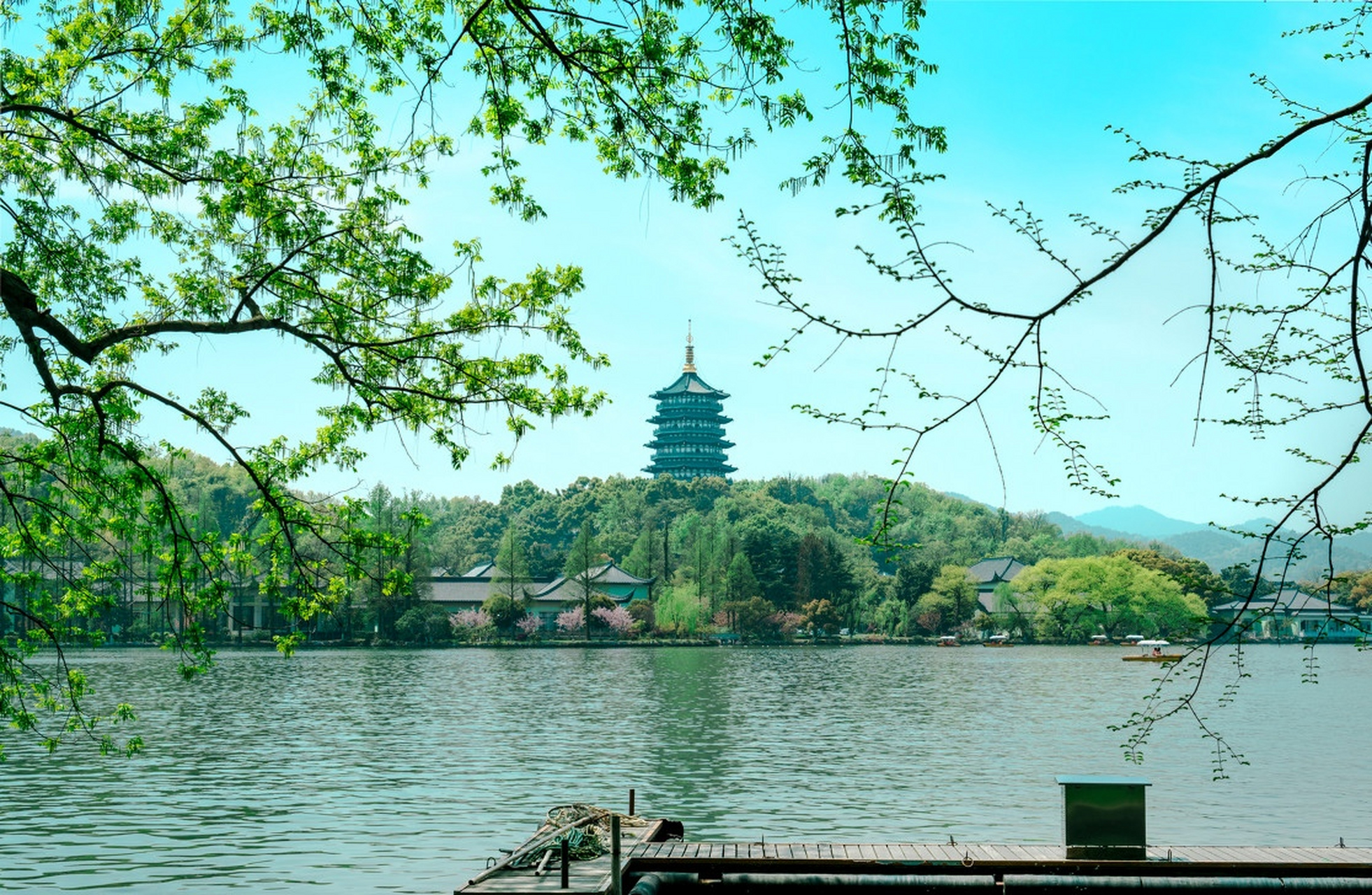 春天的暖阳照在西湖水面上