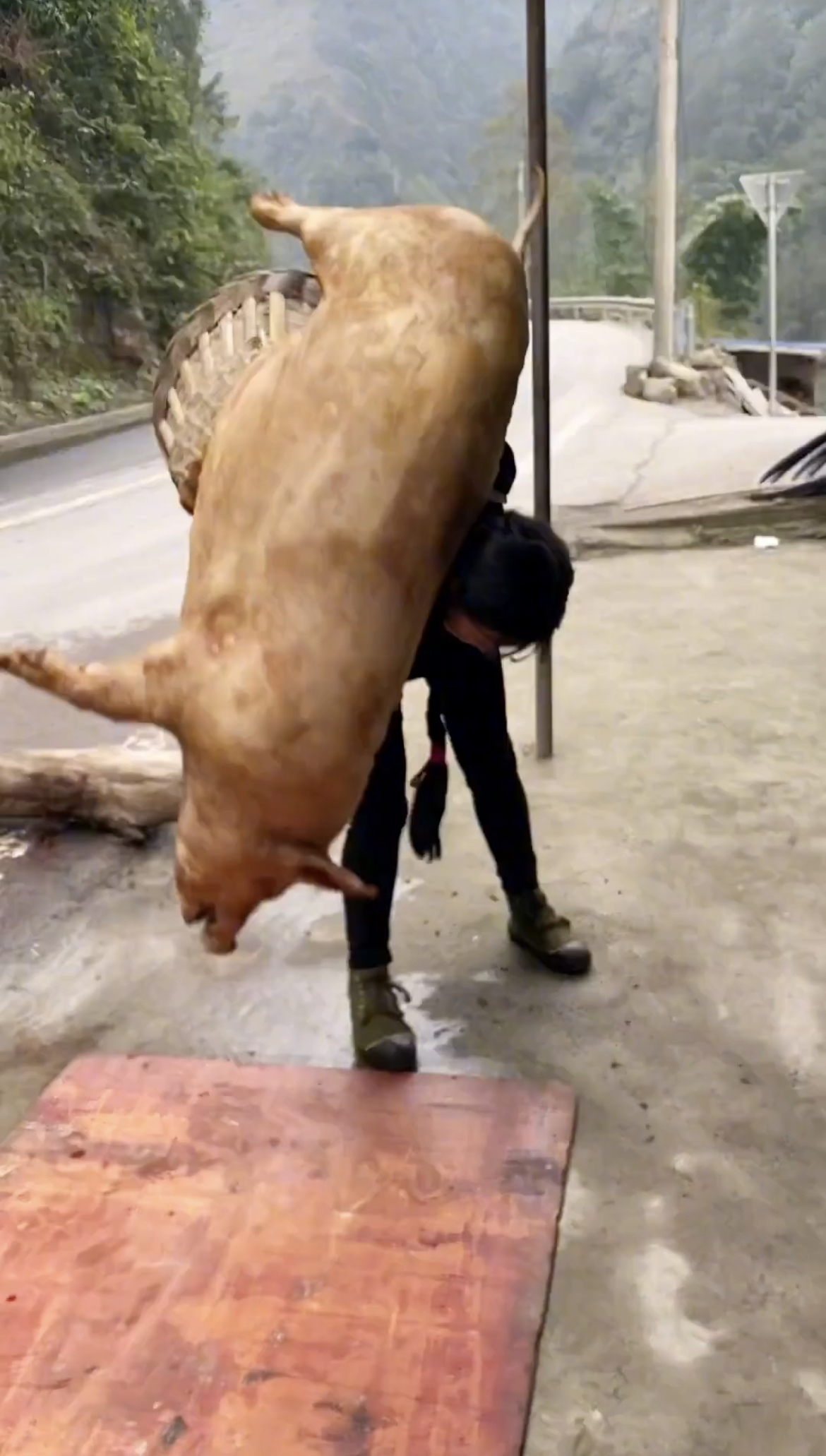 让你背着这么轻松,既然还来一个倒挂金钩#热点引擎计划# #小猪佩奇