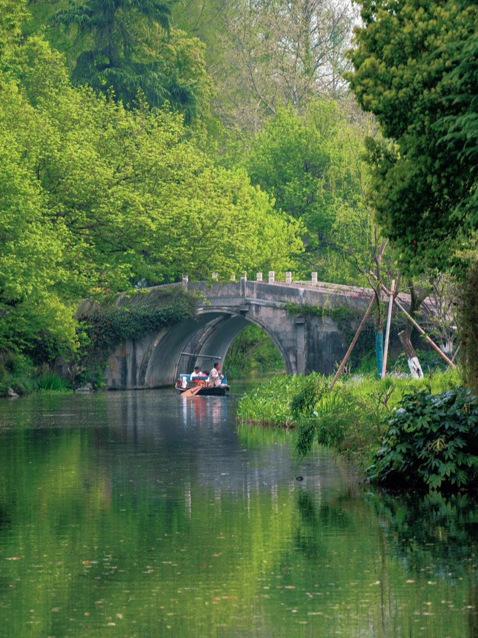 春天总要来一趟杭州#   提起西湖上的长堤,可能大多数人立刻想到说烫