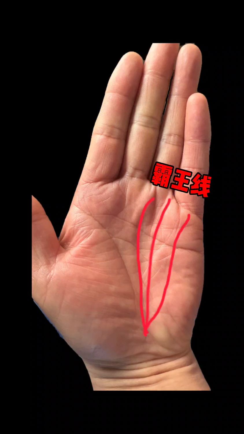 财运滚滚如雪球的手相,十分罕见的"霸王线",真是百年难遇!